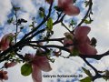 gabrysia Romanowska 2b